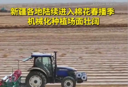 新疆各地陆续进入棉花春播季 机械化种植场面壮阔